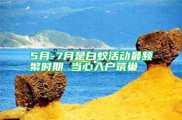 5月-7月是白蟻活動最頻繁時期 當(dāng)心入戶筑巢