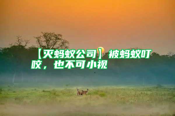 【滅螞蟻公司】被螞蟻叮咬，也不可小視