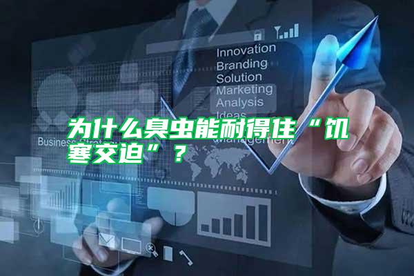 為什么臭蟲能耐得住“饑寒交迫”？