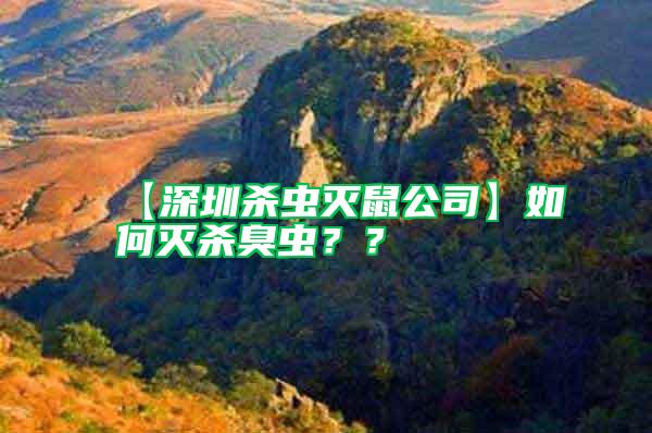 【深圳殺蟲滅鼠公司】如何滅殺臭蟲？？