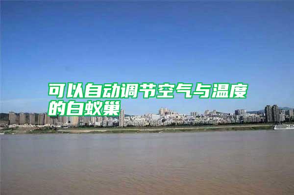 可以自動(dòng)調(diào)節(jié)空氣與溫度的白蟻巢