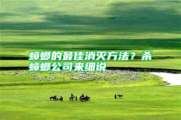 蟑螂的最佳消滅方法？殺蟑螂公司來細說