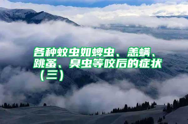各種蚊蟲如蜱蟲、恙螨、跳蚤、臭蟲等咬后的癥狀（三）