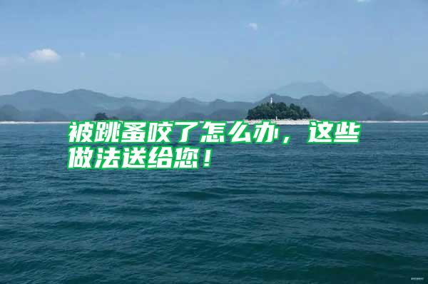 被跳蚤咬了怎么辦，這些做法送給您！