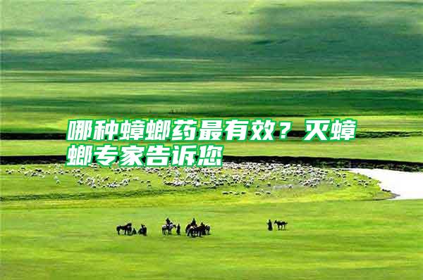 哪種蟑螂藥最有效？滅蟑螂專家告訴您