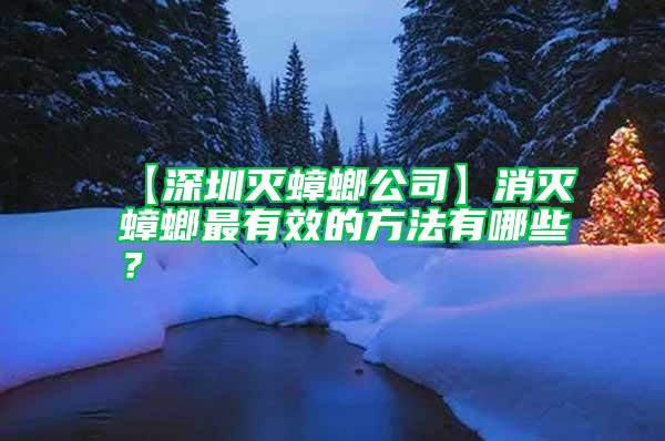 【深圳滅蟑螂公司】消滅蟑螂最有效的方法有哪些？