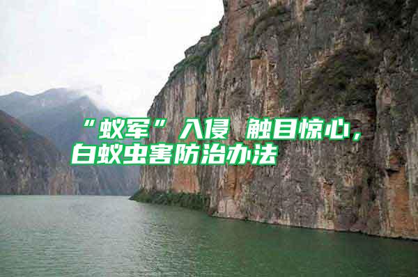 “蟻軍”入侵 觸目驚心，白蟻蟲害防治辦法