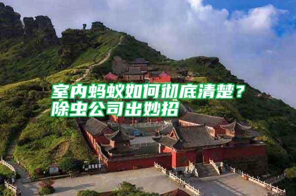 室內(nèi)螞蟻如何徹底清楚？除蟲公司出妙招