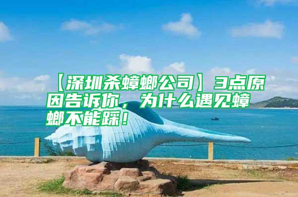 【深圳殺蟑螂公司】3點原因告訴你，為什么遇見蟑螂不能踩！