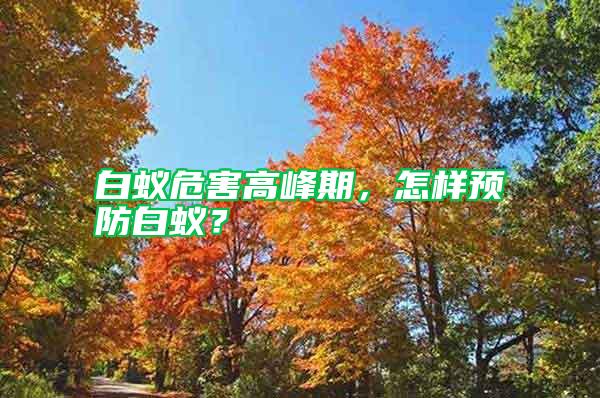 白蟻危害高峰期，怎樣預(yù)防白蟻？