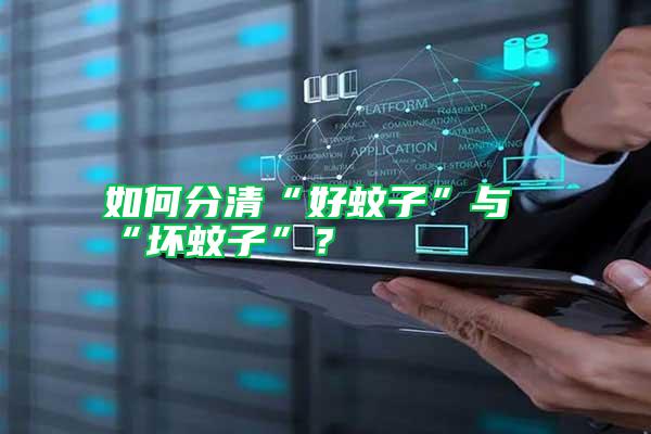 如何分清“好蚊子”與“壞蚊子”？