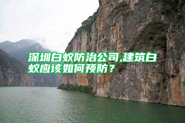 深圳白蟻防治公司,建筑白蟻應(yīng)該如何預(yù)防？