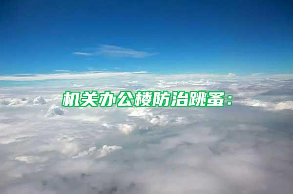 機(jī)關(guān)辦公樓防治跳蚤: