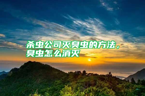 殺蟲(chóng)公司滅臭蟲(chóng)的方法，臭蟲(chóng)怎么消滅