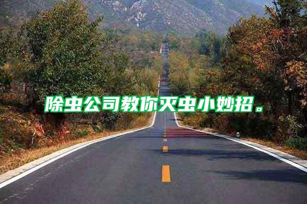 除蟲公司教你滅蟲小妙招。