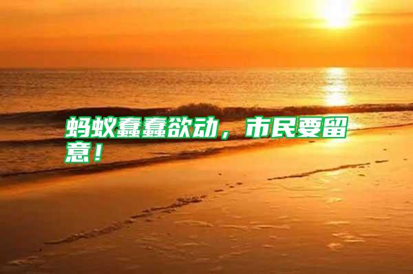 螞蟻蠢蠢欲動(dòng)，市民要留意！