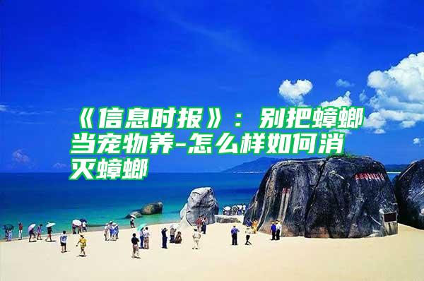 《信息時(shí)報(bào)》:別把蟑螂當(dāng)寵物養(yǎng)-怎么樣如何消滅蟑螂