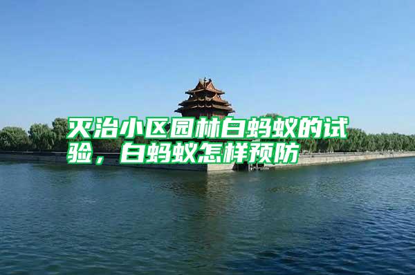 滅治小區(qū)園林白螞蟻的試驗(yàn)，白螞蟻怎樣預(yù)防