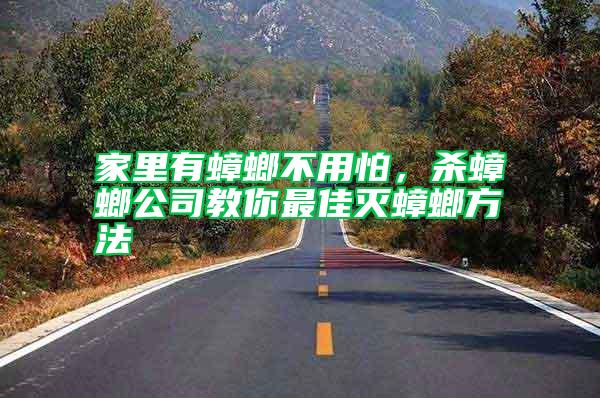家里有蟑螂不用怕，殺蟑螂公司教你最佳滅蟑螂方法