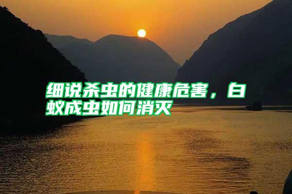 細說殺蟲的健康危害，白蟻成蟲如何消滅