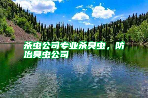 殺蟲公司專業(yè)殺臭蟲，防治臭蟲公司