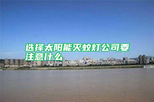 選擇太陽能滅蚊燈公司要注意什么