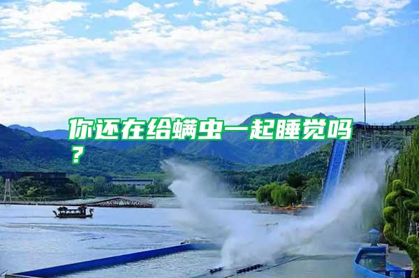 你還在給螨蟲一起睡覺嗎？