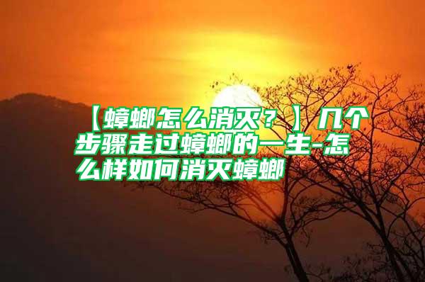 【蟑螂怎么消滅？】幾個步驟走過蟑螂的一生-怎么樣如何消滅蟑螂