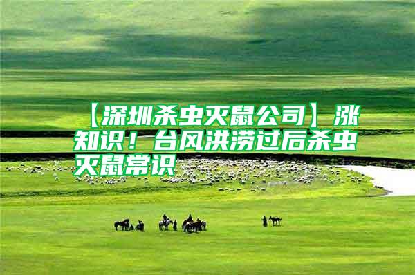 【深圳殺蟲滅鼠公司】漲知識！臺風洪澇過后殺蟲滅鼠常識