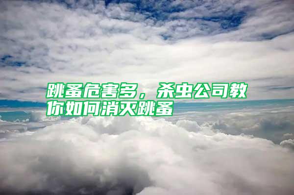 跳蚤危害多，殺蟲(chóng)公司教你如何消滅跳蚤