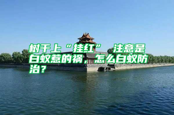 樹干上“掛紅” 注意是白蟻惹的禍，怎么白蟻防治？