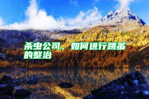 殺蟲公司，如何進(jìn)行跳蚤的整治