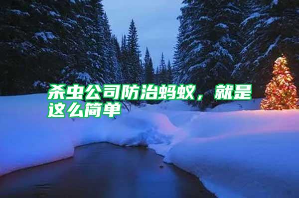 殺蟲公司防治螞蟻，就是這么簡單