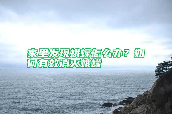 家里發(fā)現(xiàn)蛾蠓怎么辦？如何有效消滅蛾蠓