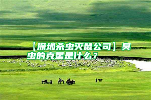 【深圳殺蟲(chóng)滅鼠公司】臭蟲(chóng)的克星是什么？