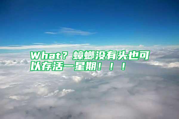 What？蟑螂沒有頭也可以存活一星期?。。?/></p>
             <p style=