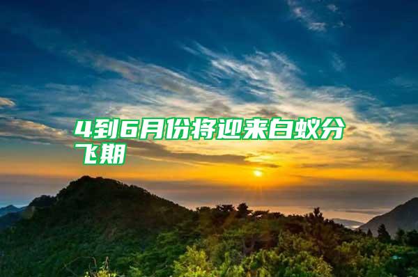 4到6月份將迎來(lái)白蟻分飛期