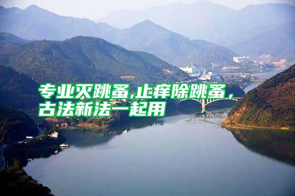 專業(yè)滅跳蚤,止癢除跳蚤， 古法新法一起用