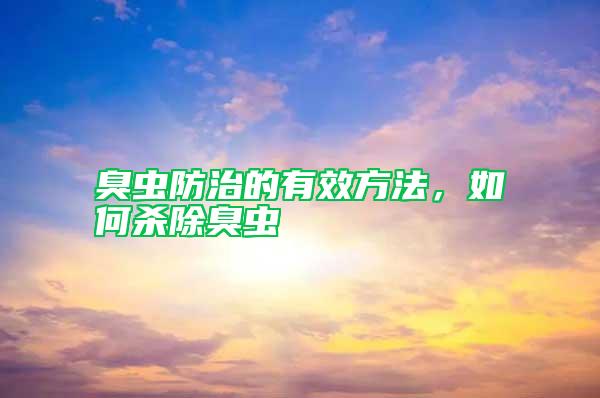 臭蟲(chóng)防治的有效方法，如何殺除臭蟲(chóng)