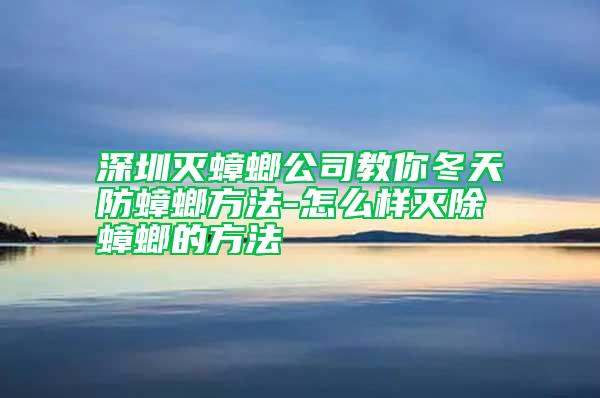 深圳滅蟑螂公司教你冬天防蟑螂方法-怎么樣滅除蟑螂的方法