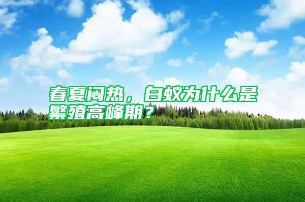 春夏悶熱，白蟻為什么是繁殖高峰期？