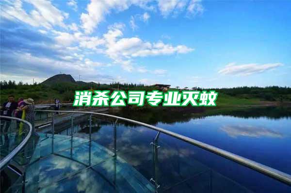 消殺公司專業(yè)滅蚊