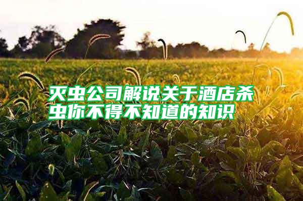 滅蟲公司解說關(guān)于酒店殺蟲你不得不知道的知識(shí)