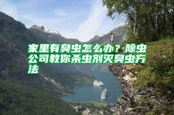 家里有臭蟲怎么辦?除蟲公司教你殺蟲劑滅臭蟲方法