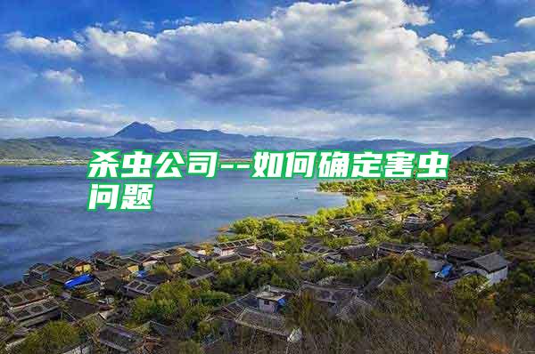 殺蟲公司--如何確定害蟲問題