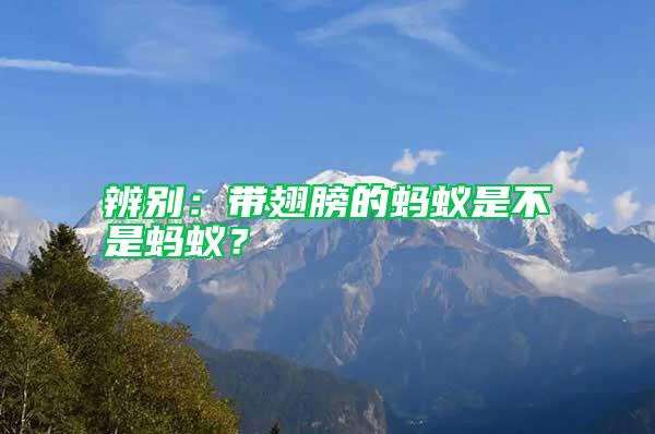 辨別：帶翅膀的螞蟻是不是螞蟻？