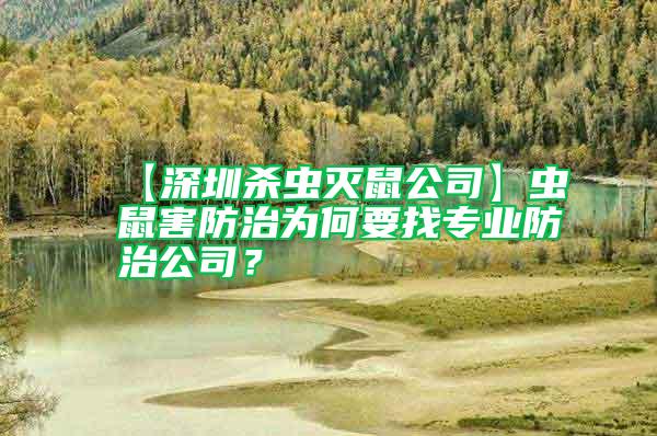【深圳殺蟲滅鼠公司】蟲鼠害防治為何要找專業(yè)防治公司？