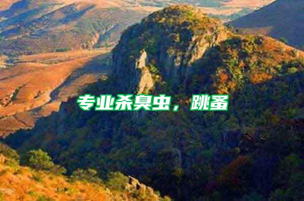 專業(yè)殺臭蟲，跳蚤