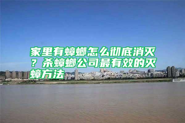 家里有蟑螂怎么徹底消滅？殺蟑螂公司最有效的滅蟑方法