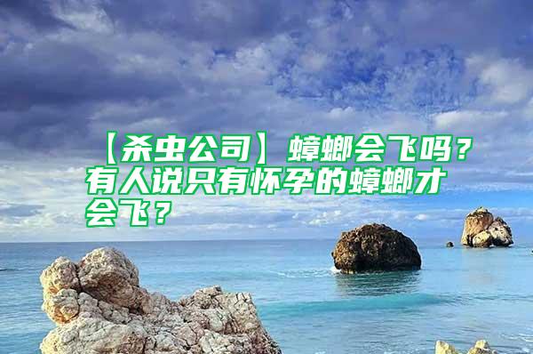 【殺蟲公司】蟑螂會飛嗎？有人說只有懷孕的蟑螂才會飛？